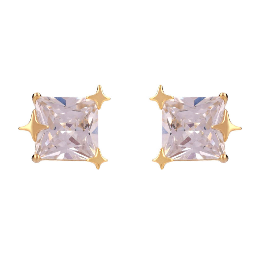 Radiant Princess Cut Studs